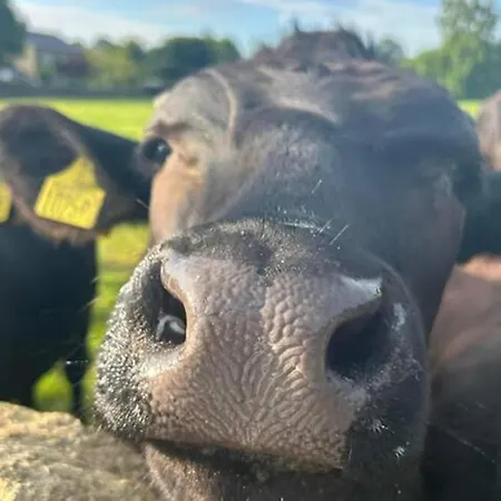 Westfield House Privatunterkunft Gargrave